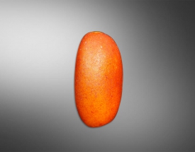 紅砂皮和(hé / huò)田玉籽料